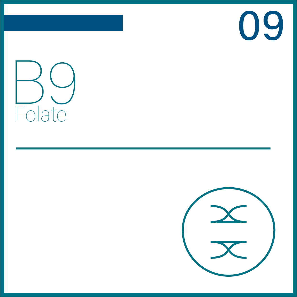 Vitamin B9 (Folate)