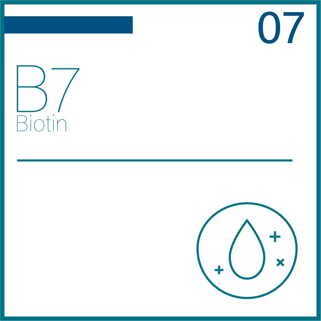 Biotin (Vitamin B7) periodic table icon