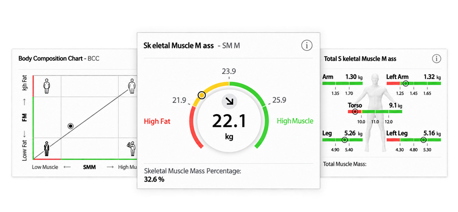Example seca muscle mass report cards